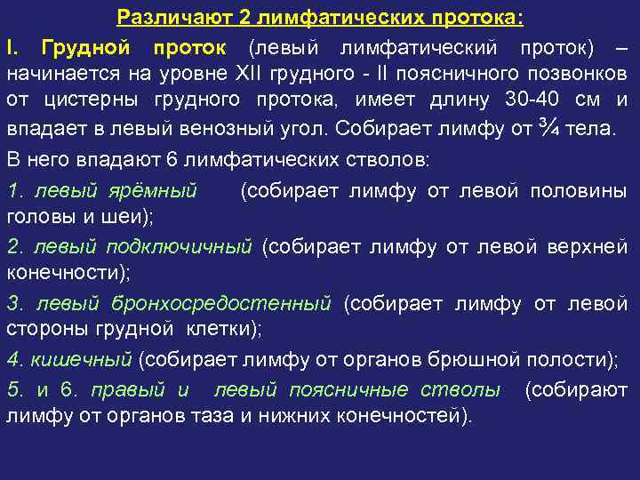 Различают 2 лимфатических протока: I. Грудной проток (левый лимфатический проток) – начинается на уровне