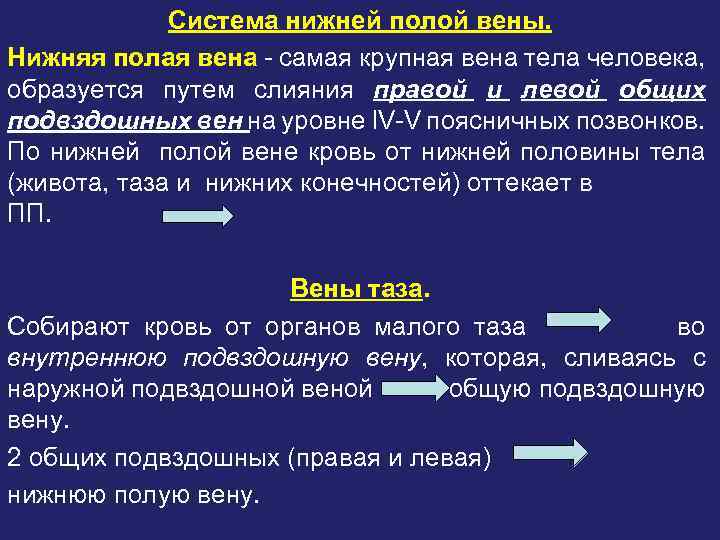 Система нижней полой вены. Нижняя полая вена - самая крупная вена тела человека, образуется