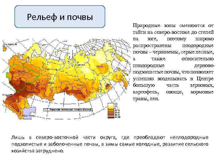 Какая природная зона сменяет