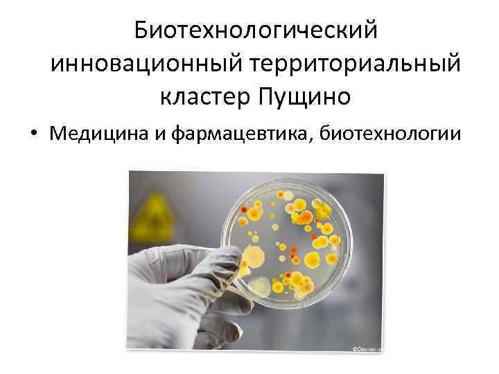 Биотехнологический инновационный территориальный кластер Пущино • Медицина и фармацевтика, биотехнологии 