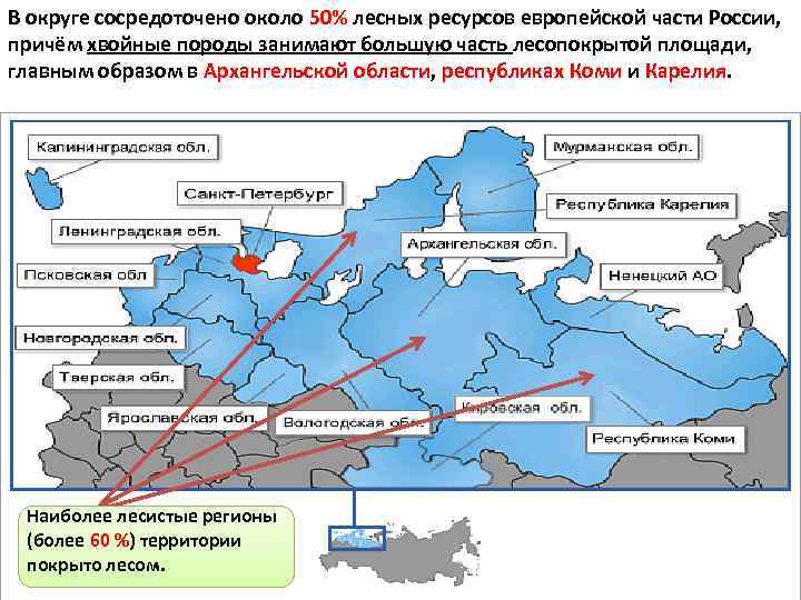 В округе сосредоточено около 50% лесных ресурсов европейской части России, причём хвойные породы занимают