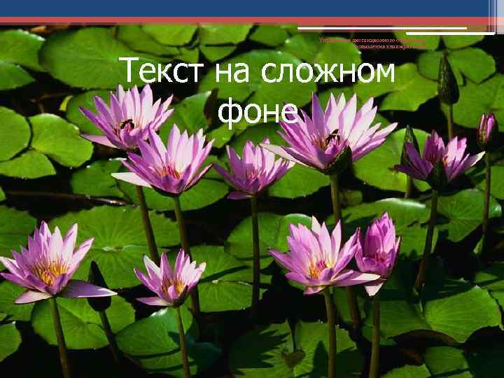 Управление дистанционного обучения и повышения квалификации Текст на сложном фоне 
