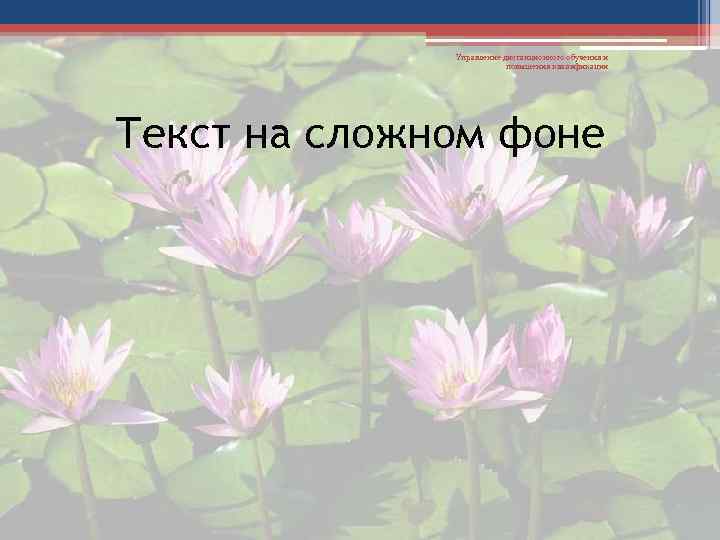 Управление дистанционного обучения и повышения квалификации Текст на сложном фоне 