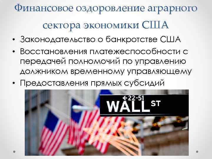 Финансовое оздоровление аграрного сектора экономики США • Законодательство о банкротстве США • Восстановления платежеспособности