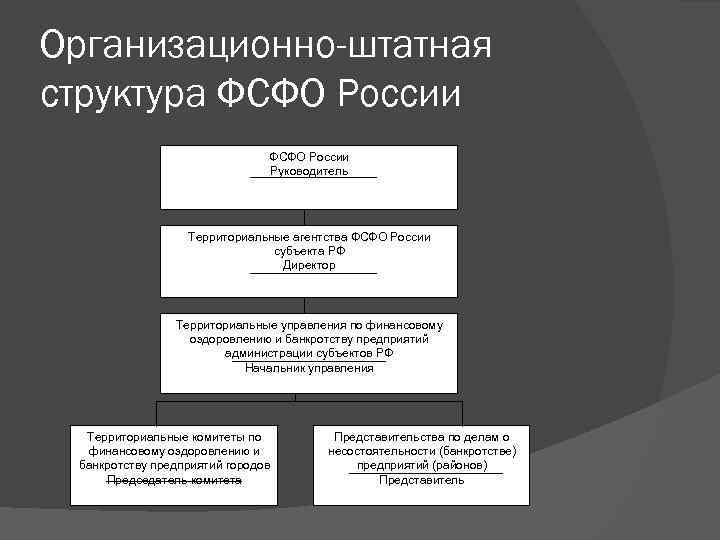 Организационно-штатная структура ФСФО России Руководитель Территориальные агентства ФСФО России субъекта РФ Директор Территориальные управления