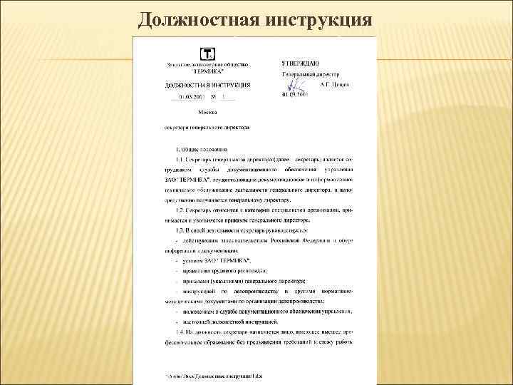 Должностная инструкция 