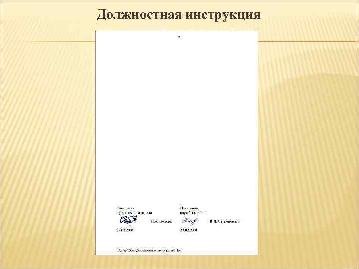 Должностная инструкция 