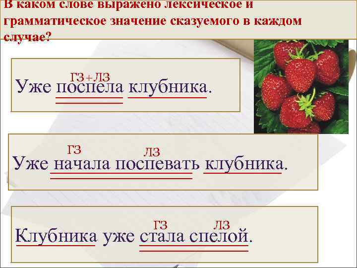 В каком слове выражено лексическое и Чем отличаются сказуемые в этих в каждом грамматическое
