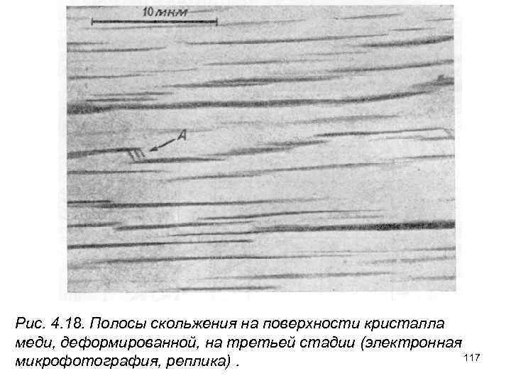 Рис. 4. 18. Полосы скольжения на поверхности кристалла меди, деформированной, на третьей стадии (электронная