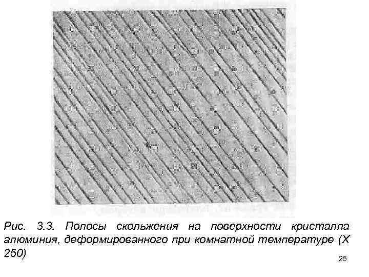Рис. 3. 3. Полосы скольжения на поверхности кристалла алюминия, деформированного при комнатной температуре (Х