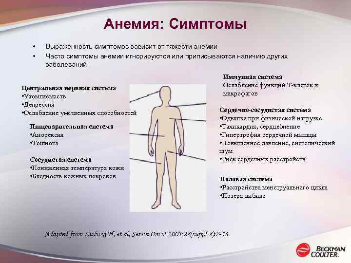 Анемия: Симптомы • • Выраженность симптомов зависит от тяжести анемии Часто симптомы анемии игнорируются