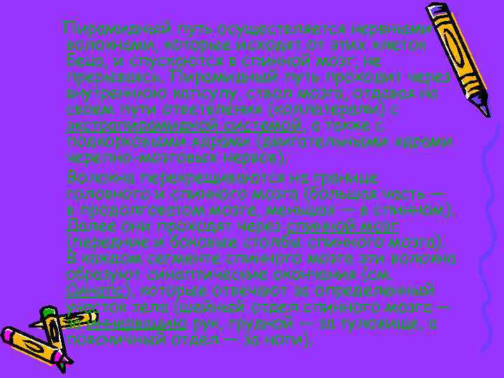 Пирамидный путь осуществляется нервными волокнами, которые исходят от этих клеток Беца, и спускаются в