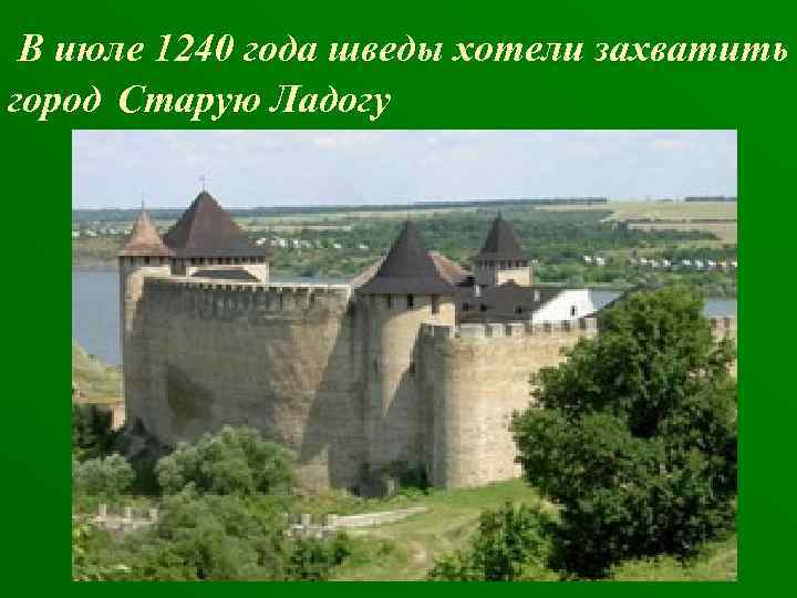 В июле 1240 года шведы хотели захватить город Старую Ладогу 