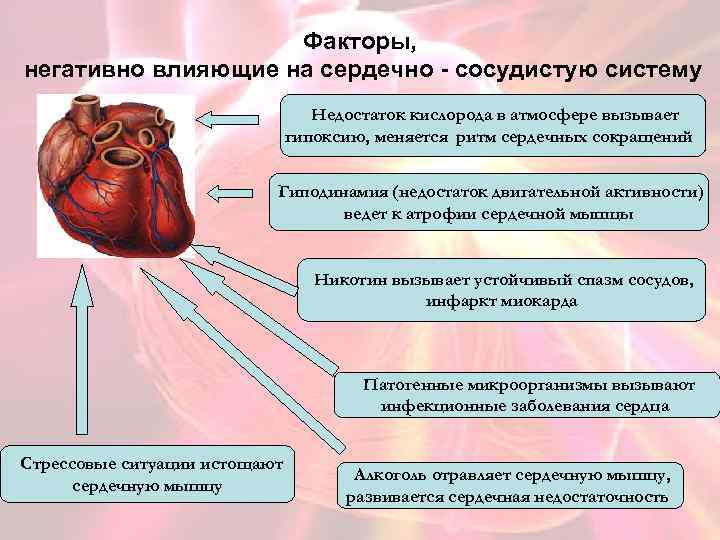 Влияет на сосуды и сердце. Факторы влияющие на сердечно сосудистую систему. Факторы негативно влияющие на сердечно-сосудистую систему. Отрицательное влияние на сердечно-сосудистую систему оказывают. Факторы влияющие на ССС.