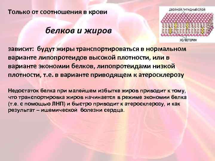 Только от соотношения в крови белков и жиров зависит: будут жиры транспортироваться в нормальном