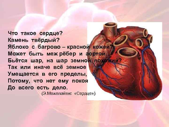 Сердце не камень человек. Сердце. Сколько камни в сердце человека. Сердце человеческое камень.
