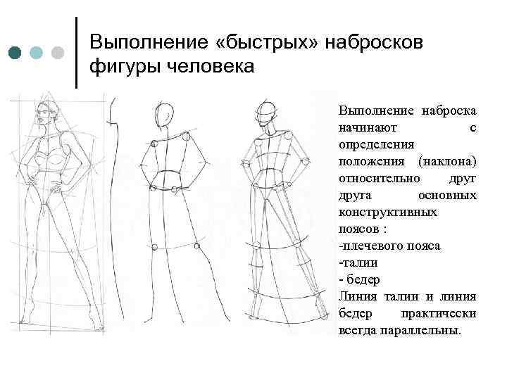 Пропорции фигуры человека презентация