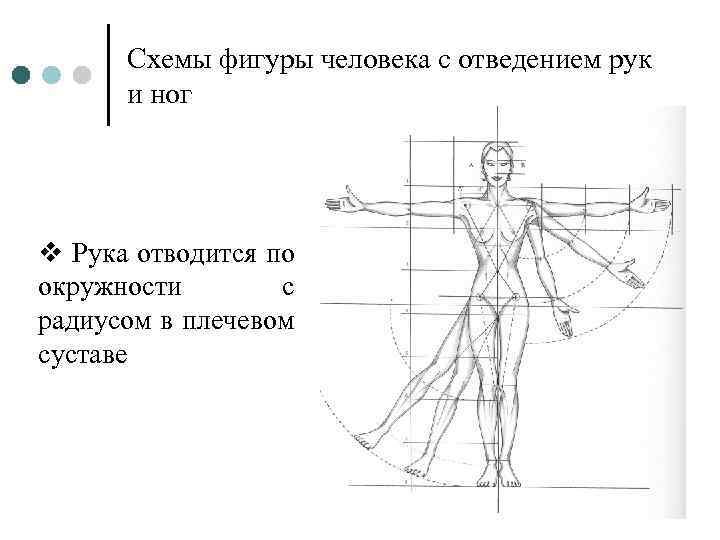 Схемы фигуры человека с отведением рук и ног v Рука отводится по окружности с