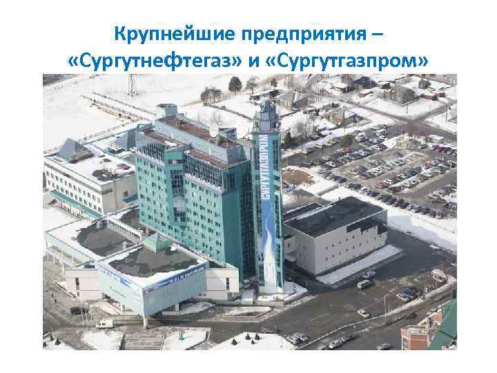 Крупнейшие предприятия – «Сургутнефтегаз» и «Сургутгазпром» 