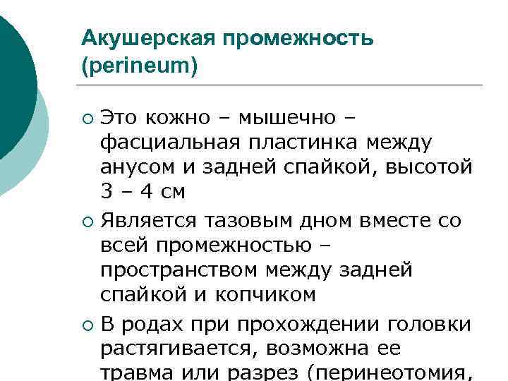 Акушерская промежность (perineum) Это кожно – мышечно – фасциальная пластинка между анусом и задней