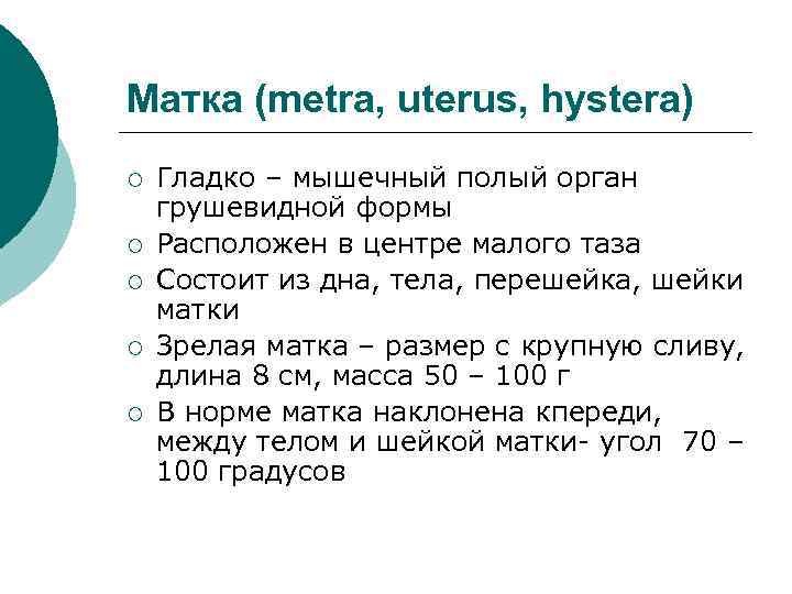 Матка (metra, uterus, hystera) ¡ ¡ ¡ Гладко – мышечный полый орган грушевидной формы