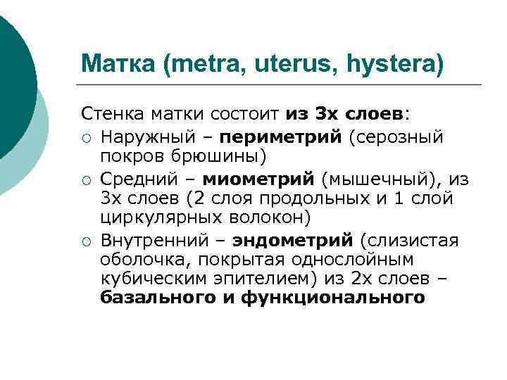 Матка (metra, uterus, hystera) Стенка матки состоит из 3 х слоев: ¡ Наружный –