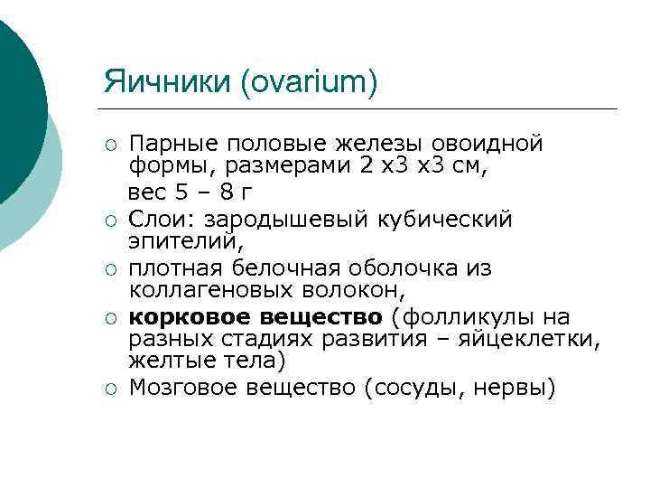 Яичники (ovarium) ¡ ¡ ¡ Парные половые железы овоидной формы, размерами 2 х3 х3