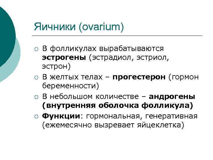 Яичники (ovarium) ¡ ¡ В фолликулах вырабатываются эстрогены (эстрадиол, эстрон) В желтых телах –