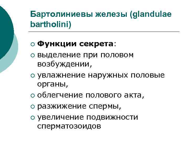 Бартолиниевы железы (glandulae bartholini) Функции секрета: ¡ выделение при половом возбуждении, ¡ увлажнение наружных