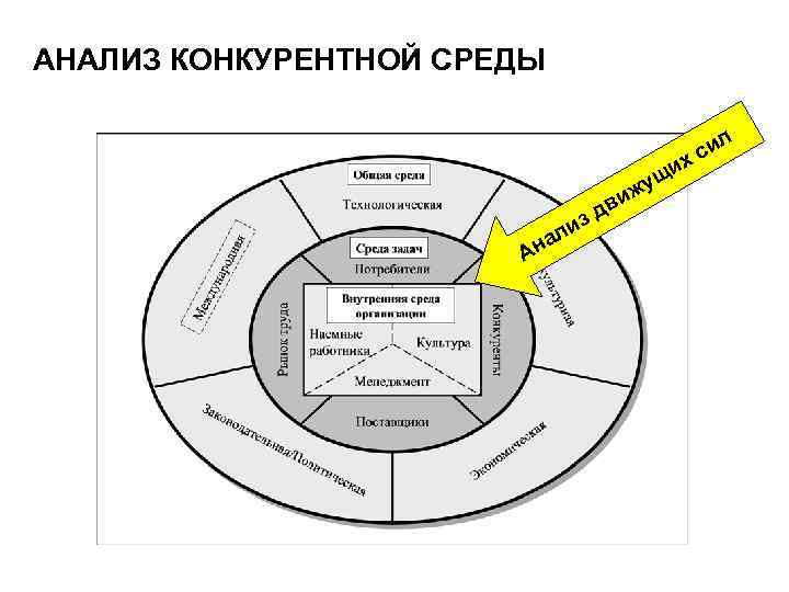 Анализ внешней среды организации