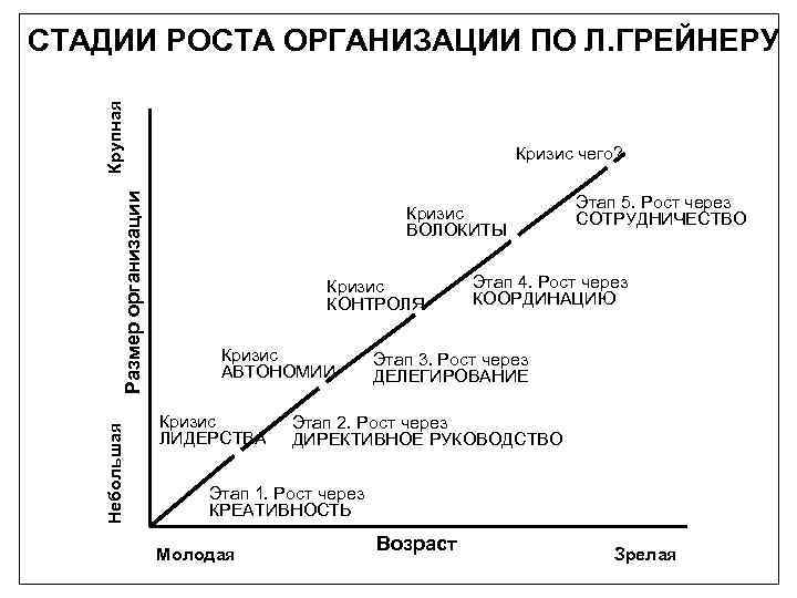 Небольшая Размер организации Крупная СТАДИИ РОСТА ОРГАНИЗАЦИИ ПО Л. ГРЕЙНЕРУ Кризис чего? Кризис ВОЛОКИТЫ