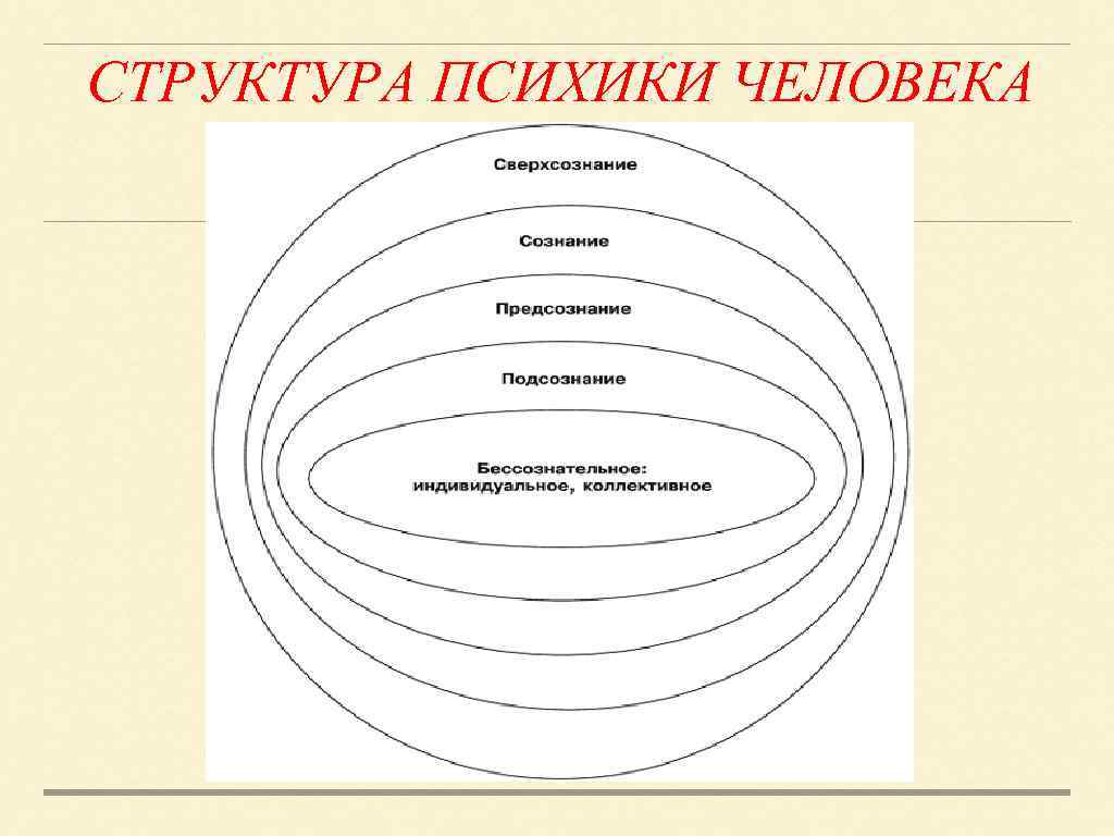 Структура психики человека схема