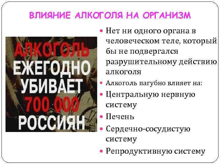 ВЛИЯНИЕ АЛКОГОЛЯ НА ОРГАНИЗМ Нет ни одного органа в человеческом теле, который бы не