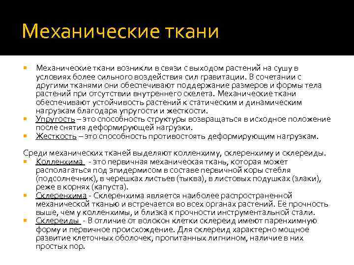 Механические ткани возникли в связи с выходом растений на сушу в условиях более сильного