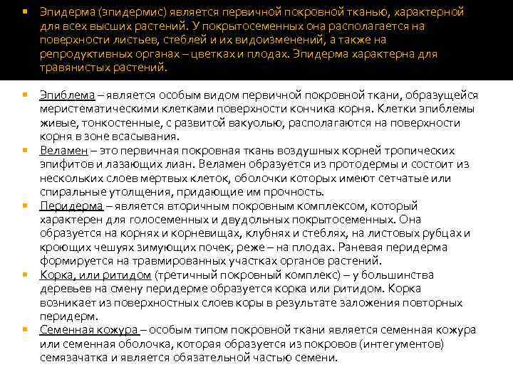  Эпидерма (эпидермис) является первичной покровной тканью, характерной для всех высших растений. У покрытосеменных