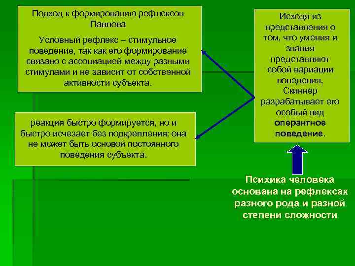 Подход к формированию рефлексов Павлова Условный рефлекс – стимульное поведение, так как его формирование