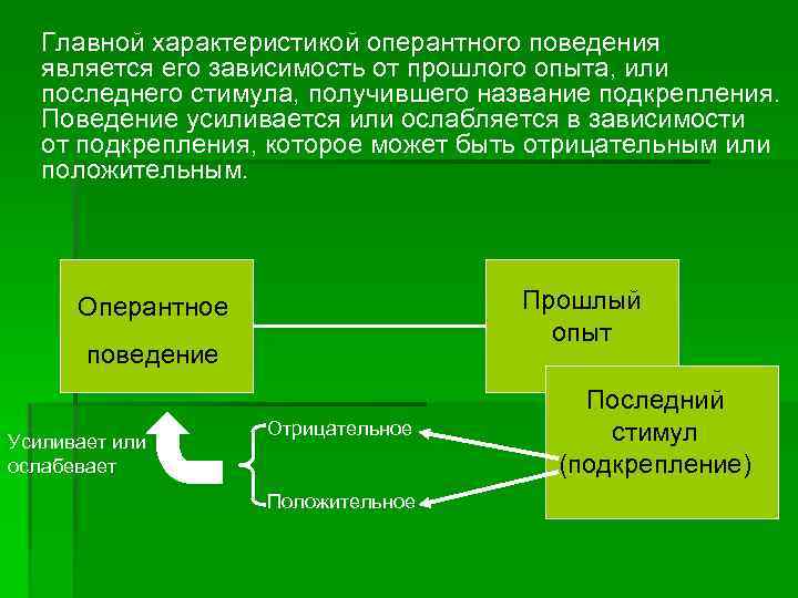 Главной характеристикой оперантного поведения является его зависимость от прошлого опыта, или последнего стимула, получившего