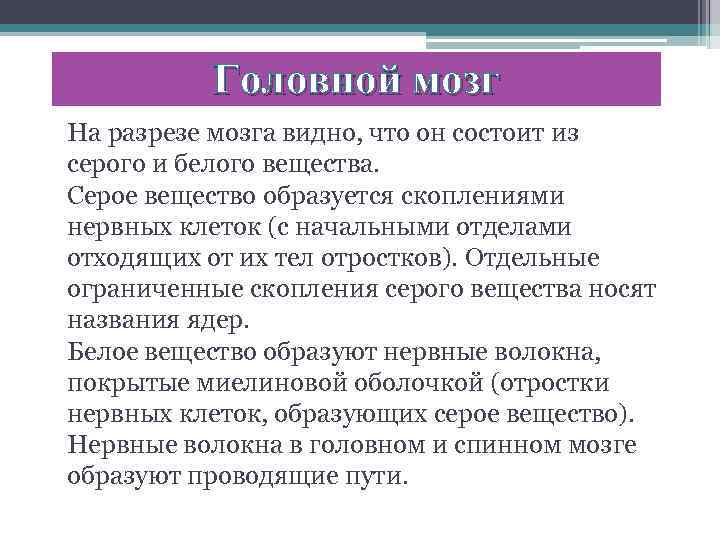 Головной мозг На разрезе мозга видно, что он состоит из серого и белого вещества.