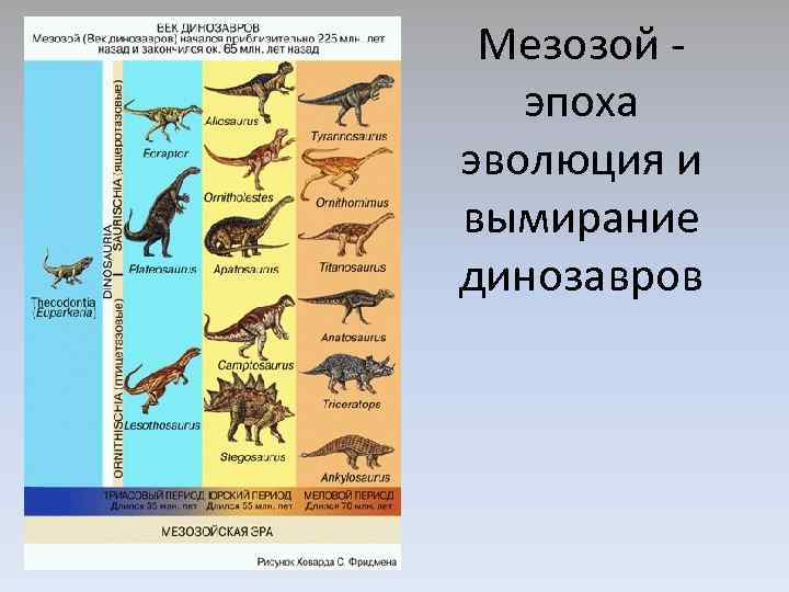 Период мезозоя сканворд 5. Мезозой периоды. Мезозой таблица. Мезозой Эра таблица. Периоды мезозоя по порядку.