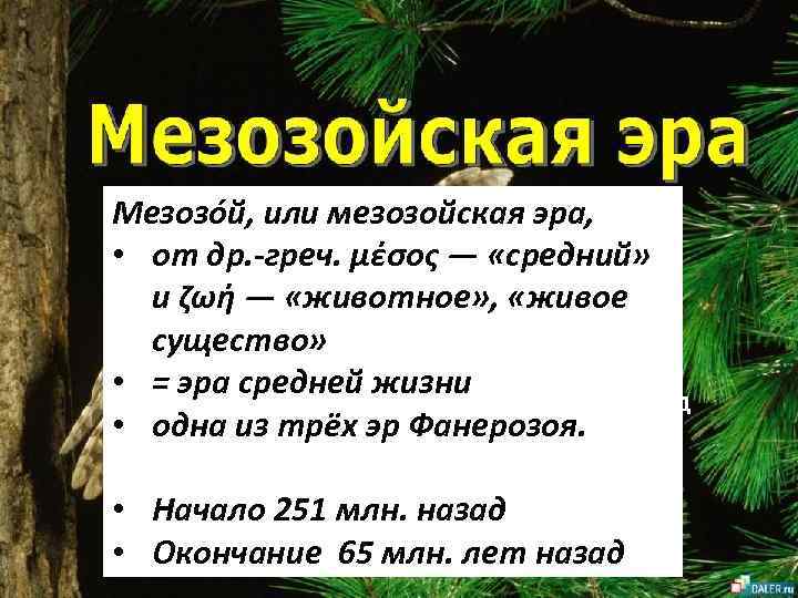 Мезозо й, или мезозойская эра, • от др. -греч. μέσος — «средний» и ζωή