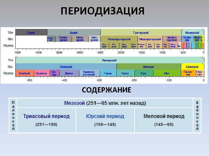 ПЕРИОДИЗАЦИЯ СОДЕРЖАНИЕ 