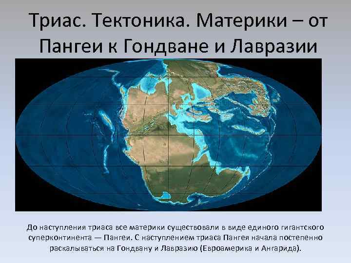 Триас. Тектоника. Материки – от Пангеи к Гондване и Лавразии До наступления триаса все