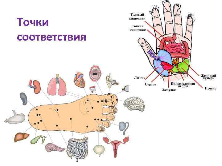 Точки соответствия 