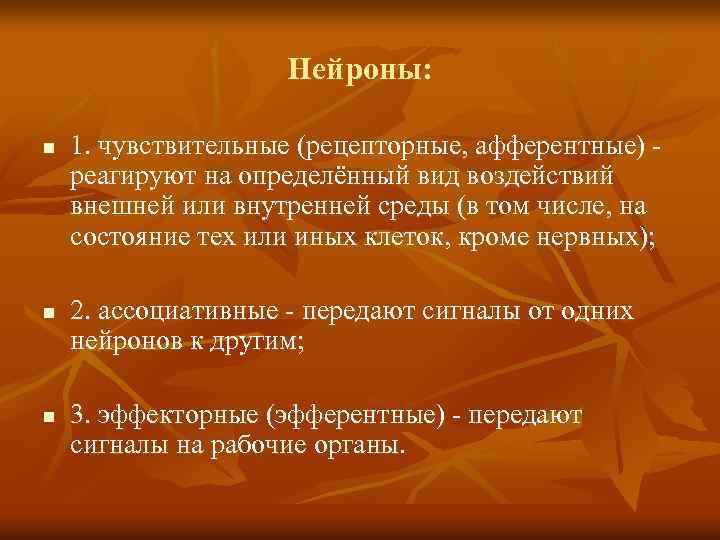 Нейроны: n n n 1. чувствительные (рецепторные, афферентные) реагируют на определённый вид воздействий внешней