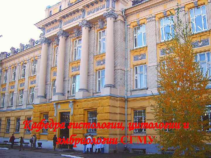 Кафедра гистологии, цитологии и эмбриологии СГМУ 