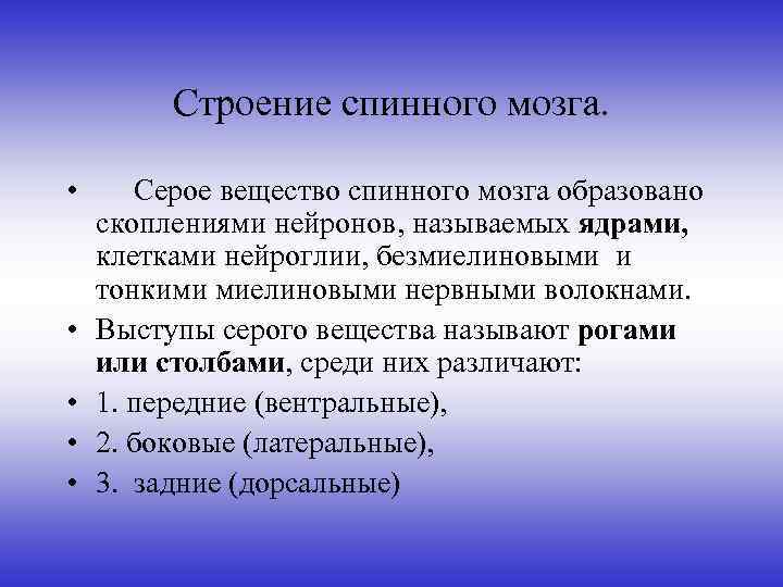 Строение спинного мозга. • Серое вещество спинного мозга образовано скоплениями нейронов, называемых ядрами, клетками