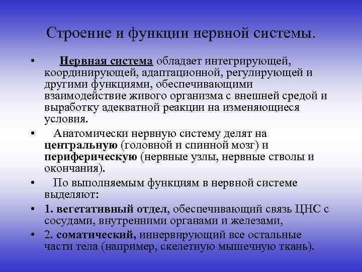 Строение и функции нервной системы. • Нервная система обладает интегрирующей, координирующей, адаптационной, регулирующей и