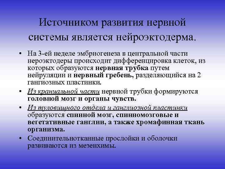 Источником развития нервной системы является нейроэктодерма. • На 3 -ей неделе эмбриогенеза в центральной