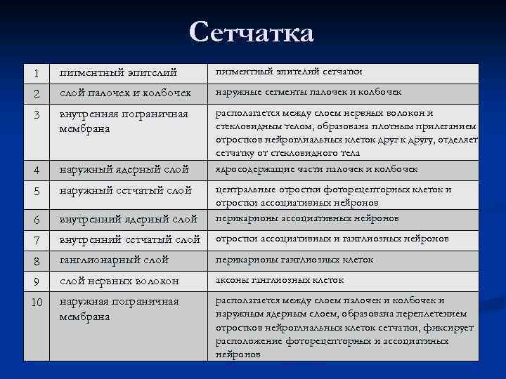 Сетчатка 1 пигментный эпителий сетчатки 2 слой палочек и колбочек наружные сегменты палочек и