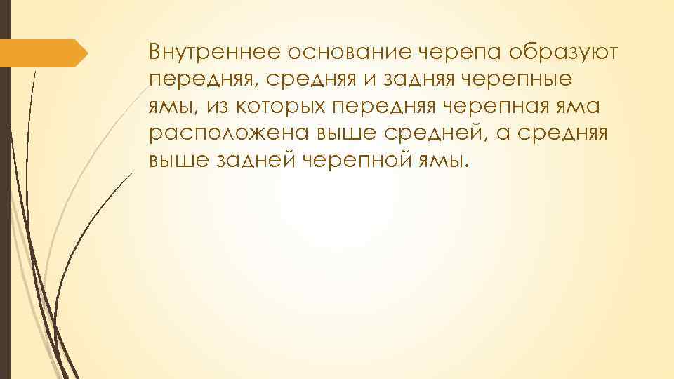 Внутреннее основание черепа образуют передняя, средняя и задняя черепные ямы, из которых передняя черепная